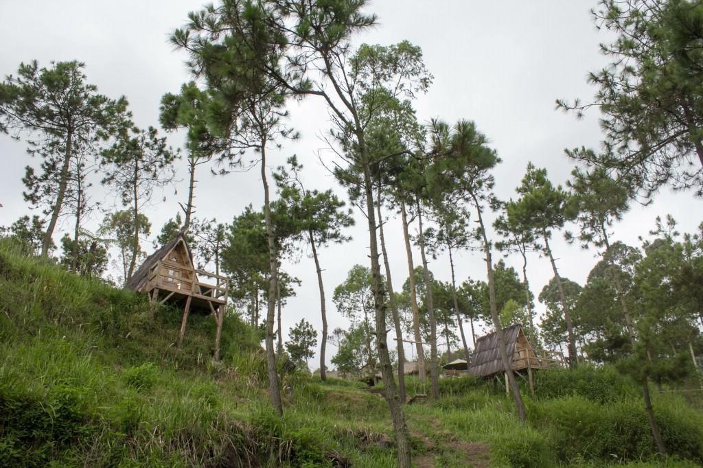 Papandayan Camping Ground Hotel Cileuleuy Exterior photo