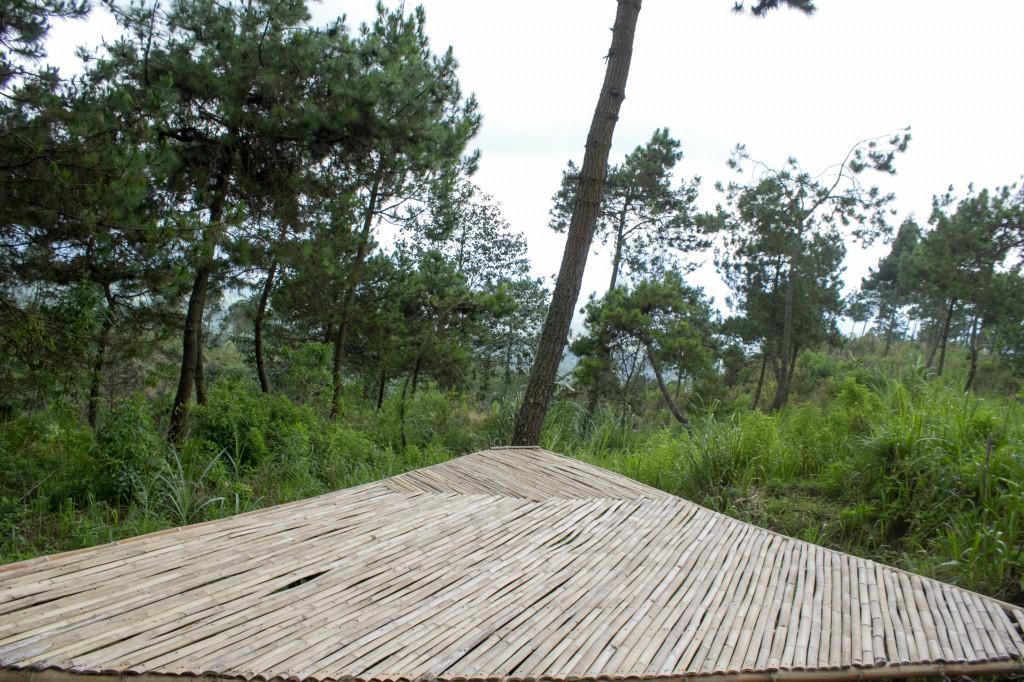 Papandayan Camping Ground Hotel Cileuleuy Exterior photo