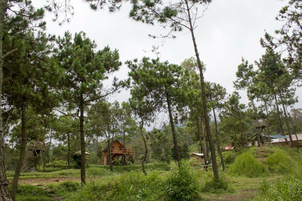 Papandayan Camping Ground Hotel Cileuleuy Exterior photo